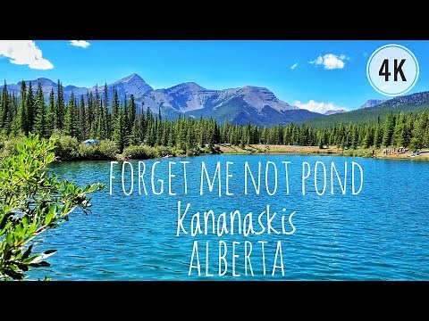 Forget Me Not Pond Kananaskis Country 4K UHD | Bragg Creek Calgary Alberta Canada | Forgetmenot Pond