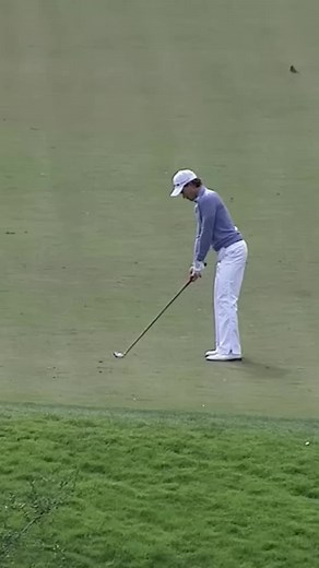 Amazing Albatross Shots! - Part 6