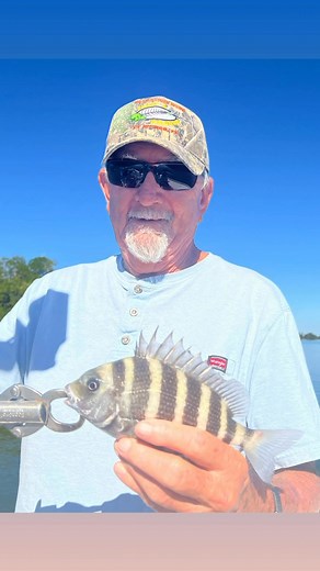 Took some local fisherman Fishing: Fred, Rod, and Rob. Good skills, a pleasure to fish with. We caught 22 fish, nine different species. And we got our backwater slam! 10 pound braid, 20 pound fluoro leader, 3/8 oz jigs, and live shrimp. Water temperature 65°. The day started out very chilly, but rapidly turned into incredibly pleasant! I coached them on my particular fishing techniques, and they shared theirs with me. Showed them some good spots, and talked about why they’re good spots. A good d
