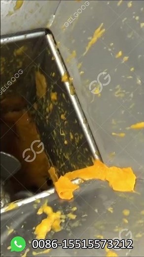 Mango Puree And Mango Pulp Processing Machinery