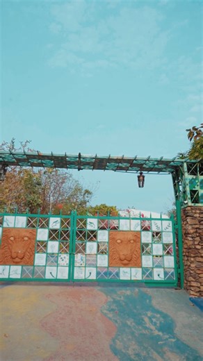 Devs Camp | Best Eco Camp on Instagram: "🌿🔥 Surrounded by Nature. Powered by Adventure. 🔥🌿 Wake up to green views, dive into thrilling activities, and end the day with calm sunsets. At Dev’s Camp, every moment balances peace and adrenaline perfectly. 😎✨ 📍 Dev’s Camp, Halol – Panchmahal, near Dev Dam, Pavagadh 📞 +91 75758 06801 🌐 www.devscamp.in #DevsCamp #NatureAndAdventure #EcoEscape #ThrillMeetsCalm #Pavagadh #Jambughoda"