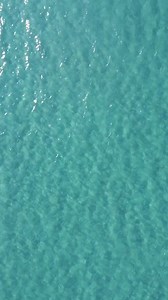 21K views · 179 reactions |  헖헮혀혁헲헹 헱헶 헧혂혀헮, 혂헻 헶헻헰헮헻혁헲혃헼헹헲 헯헼헿헴헼...