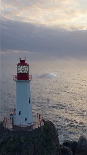 Coastal vlog 🌅 | Lighthouse Night Shift… Aur Sea Mein Kuch Dekha 😳🌊 #minivlog #urbanshaik #ai