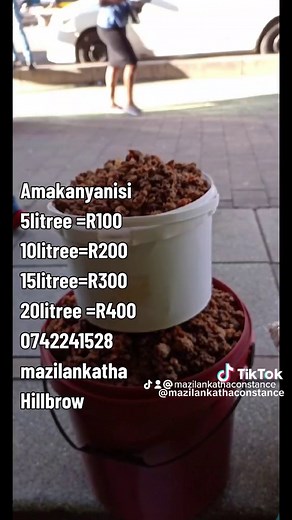constance mazilankatha on TikTok