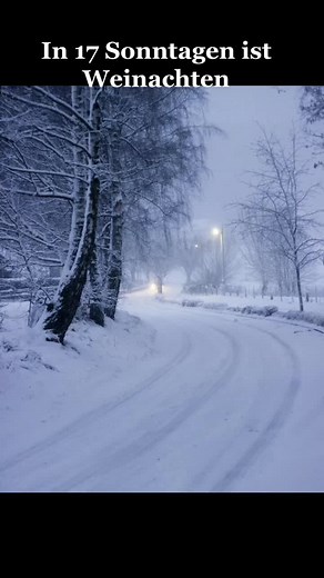 Winter 😍😍#fy #weinachten #christmas #fyp #weinachten🎄 #fypシ #2022