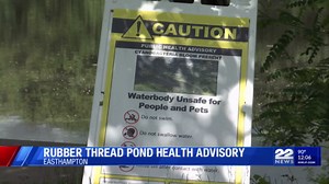 Cyanobacteria bloom at Rubber Thread Pond in Easthampton