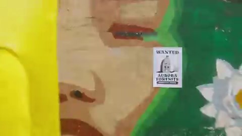 Welcome to the new chapter, Aurora Fortnite is here.ft. @shxrkFNBR & @t3enyFN