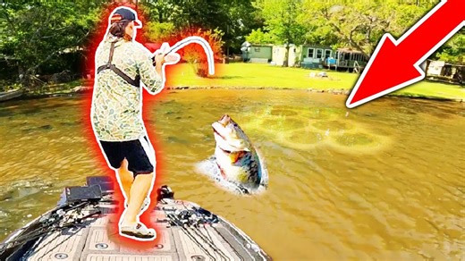Giant spring bass fooled by ultra simple fishing trick
