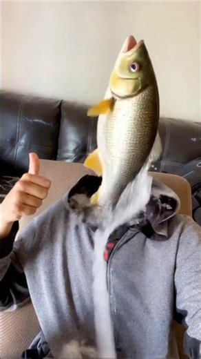 My Average Dreams 😂