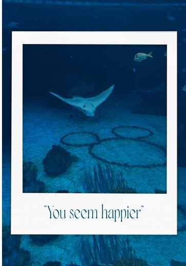 Incredible Hidden Mickey Captured at Epcot's Nemo Aquarium