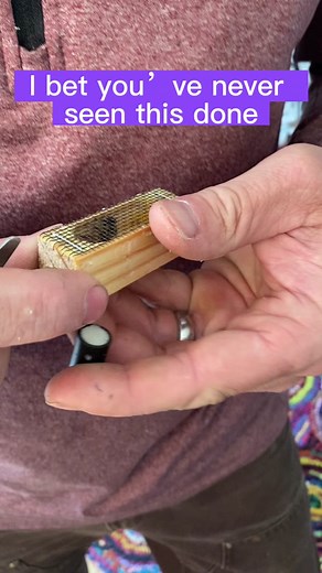 Important beekeeping task #queen #honeybee #spring #fpyツ #beekeeping #thebeetamer