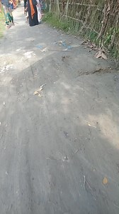 1.5M views · 26K reactions | সবাই সাবধান হয়ে যাবেন | MD Shorab Hossain | Facebook