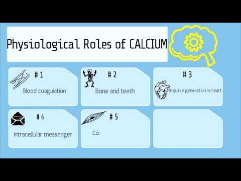 Role of Calcium in the Body | Made Easy | PharmCept