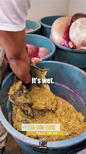 The Grossest Thing We Feed Our Boerboels And Why We Won't Stop #boerboels #rawfeedingdogs #rawfood