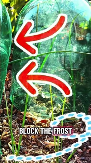 3 DIY Hacks Part 2 - Winter Greenhouse Dome #diy #homesteadlife #diygardening