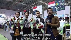 4.8K views · 22 reactions | Congratulations! To all the winners and success of #GreatWallCup CIPS International Aquatic Plants Aquascaping Contest! | China International Pet Show | Facebook