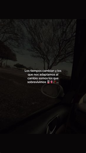 Adaptation is Key: Surviving in Changing Times