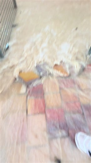 Flood Recovery: Draining Water with Pumps and Drains