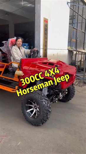 Yang Emily on Instagram: "China Manufacture 300cc Buggy Adults Four Wheel Drive Mountain Used 5 man seat go kart #minijeep #gokart #atv buggy 4x4 300cc 4wheeler offroad"