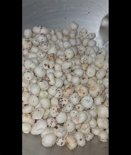 home made complan #instagram #diy #india #inspiration #foodie #food