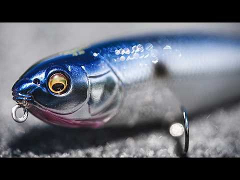 NEW TACTICAL COLOR ANNOUNCEMENT! 5 NEW COLLABORATIONS WITH MEGABASS KARASHI AND TOPWATER!