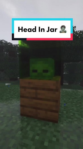 How to Wear Anything on Your Head in Minecraft