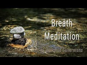 Breath Meditation | Henepola Gunaratana