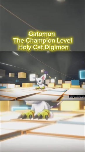 Gatomon readies her claw glove to rumble with the Titans