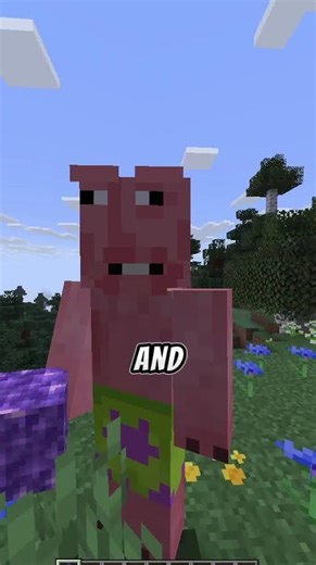 minecraft infinite amethyst
