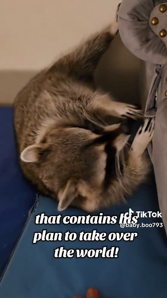 Wow, that escalated quickly!