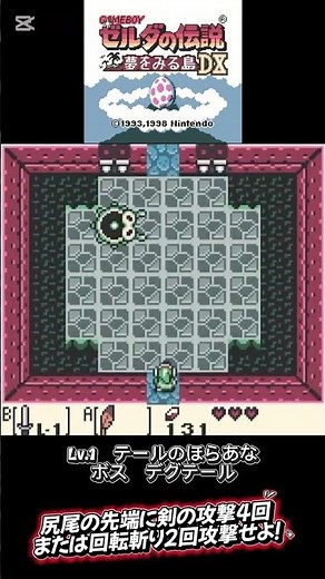 初心者が挑む ゼルダの伝説 夢をみる島DX テールのほらあな ボス戦 #ゼルダの伝説夢をみる島 #初心者 #テールのほらあな #ボス戦 #デグテール