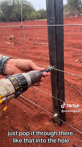 TikTok - Make Your Day