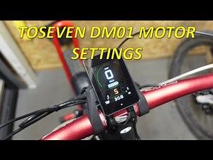 ToSeven DM01 motor settings