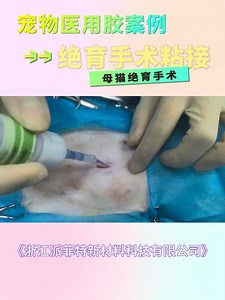 专业兽医推荐：VetGlu外科皮肤胶水，绝育手术的安心之选！