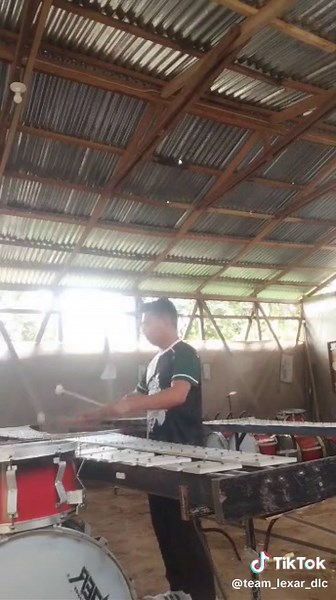 The Nights by Avicii: A Unique Drum and Lyre Cover