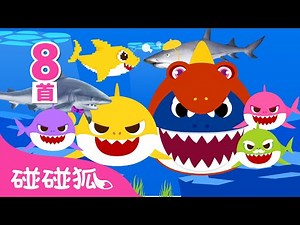 【精选】 鲨鱼宝宝 8首歌 🦈｜连续播放｜儿歌大全｜想简单学会唱鲨鱼宝宝的都看过来！｜Baby Shark Chinese｜中文儿歌｜碰碰狐儿歌｜Nursery Rhymes｜碰碰狐Pinkfong
