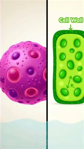what is cell ? #biology #kidslearning #kids #usa