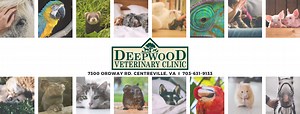 Equine & Farm Animals — Deepwood Veterinary Clinic