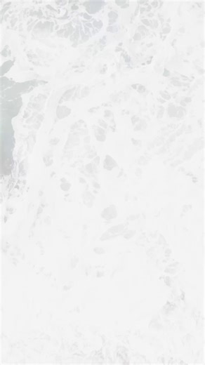 🌊 Ready to be a changemaker? With support from SC Johnson @scjohnson , our Marine Plastics Ambassadors are leading the charge against plastic pollution — and applications are officially OPEN! 💥 Dive into action, build community campaigns, and help protect our oceans. 🌍✨ 🔗 Apply now & join the movement at earthecho.org/plastics-ambassadors #GenSea #MarinePlasticsAmbassadors #SCJCares