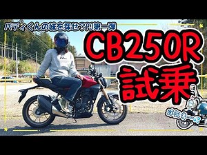 【バイク女子】250ccってこんなに楽しいの⁉️CB250Rを試乗してみました✨【インプレ】