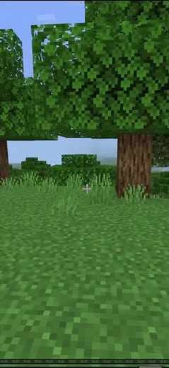 How Long Does It Take for Items to Despawn in Minecraft?