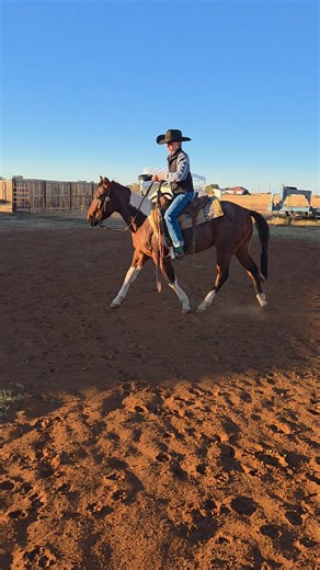 Ride number 18 for Rocky, he's learning fast! | Perry Killman