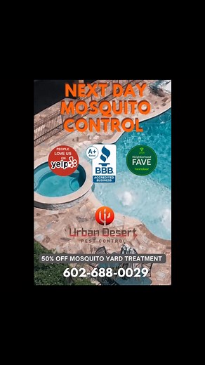 Mosquitoes thrive between 75 and 90°F, and that’s exactly where we’ve been hanging lately. Add in leftover puddles and damp soil from the late October storms, and you’ve got mosquito breeding heaven. If you’ve noticed more bites than usual this time of year, you’re not imagining things. Mosquito season’s on overtime.That’s where Urban Desert Pest Control steps in. We specialize in fast, effective mosquito control using top-shelf, pet-safe products. Our treatments knock down adult mosquitoes and