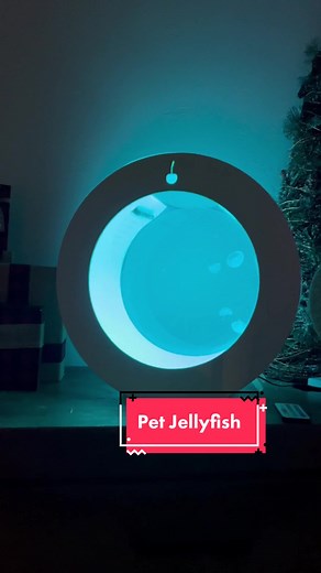 Moon Jellyfish Care: A Week of Ownership