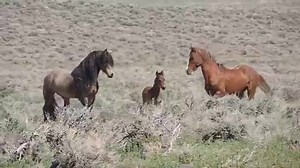 351K views · 2.9K reactions | Capital Brokers Mexico on Reels | Facebook