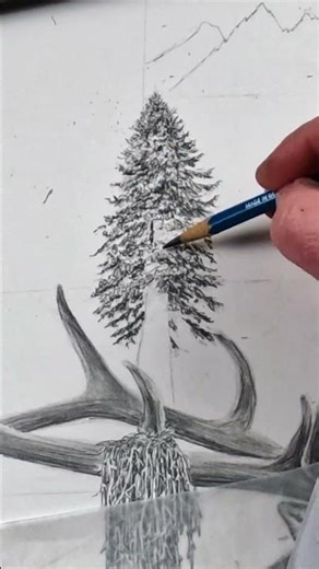 Drawing a Fir Tree with Pencils #drawing #howtodrawtree