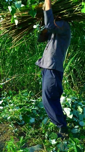 51K views · 1.2K reactions | Ancient Weaving Secrets! ✨ The Full Process of Making Traditional Chinese Grass Cloth淋 #handmade #handcrafted #craftsmanship #fblifestyle | Unseen World | Facebook