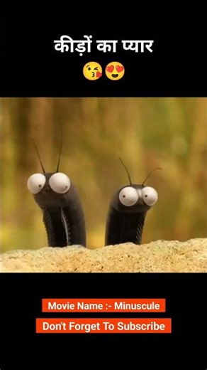 This insect fell in love 😯😍 #animation #shorts