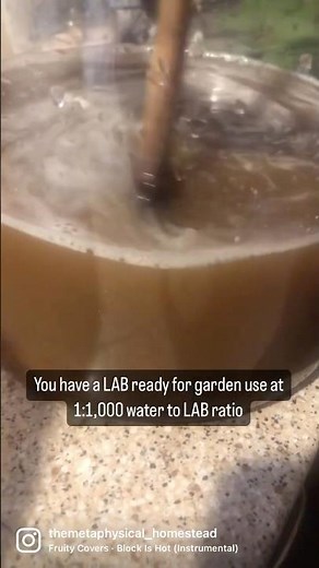 How to make a KNF LAB