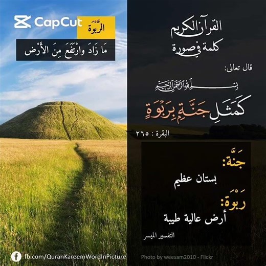 ﴿كمثل جنة بربوة﴾ #كلمة_في_صورة #المصحف #سورة_البقرة #القرآن_الكريم #quran #picture #تفسير_القرآن